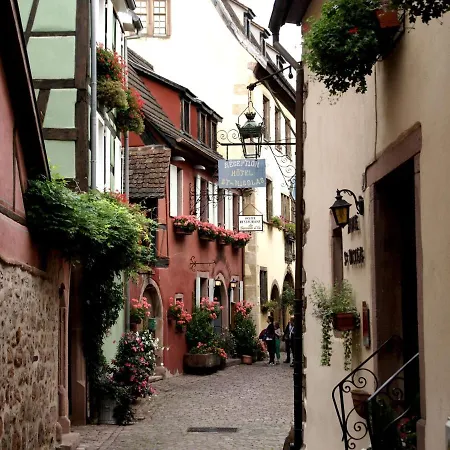 A Studio Apartment In Wine Grower'S House Riquewihr Esterno foto