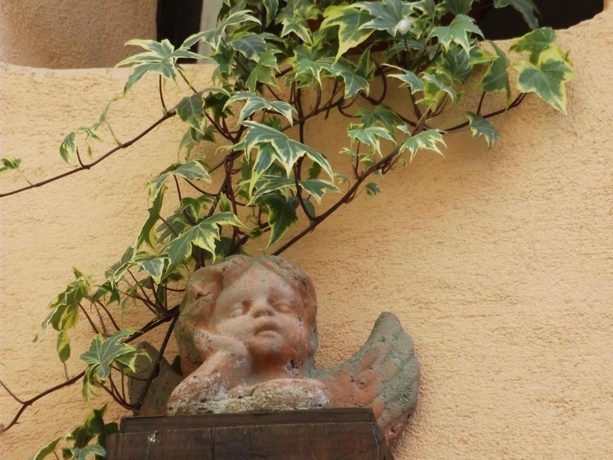 A In Wine Grower's House Apartment